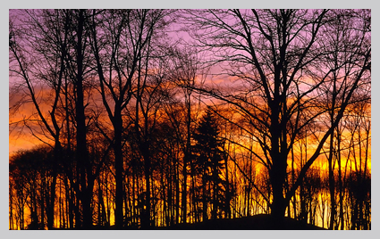 sunset_425.jpg