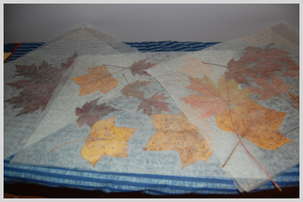 allleaves.jpg