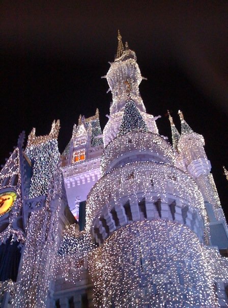 n788527192_1760383_1971.jpg