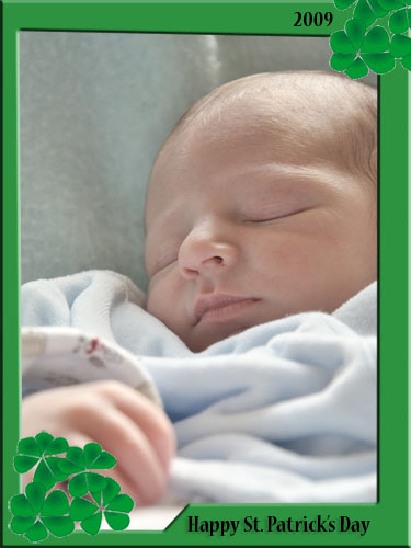 stpattywrap2.jpg