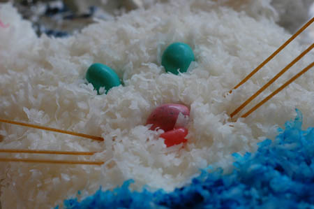 easterbunnycake_face.jpg