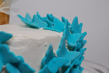 bcake_closeup.jpg