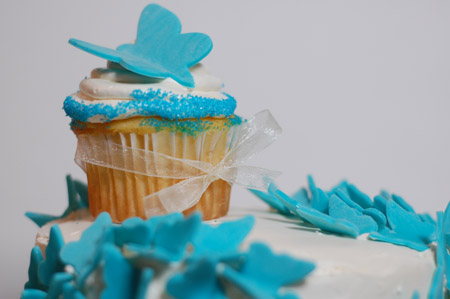 butterfly cake