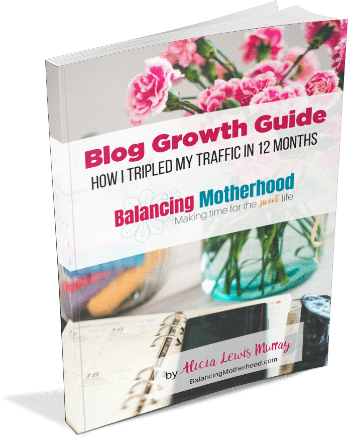 Blog Growth Guide